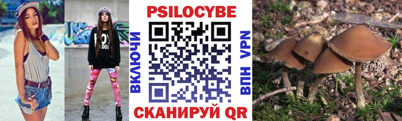 площадка состав  что такое   Пущино  Галлюциногенные грибы MAGIC MUSHROOMS 